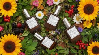 オゥパラディ 香水人気